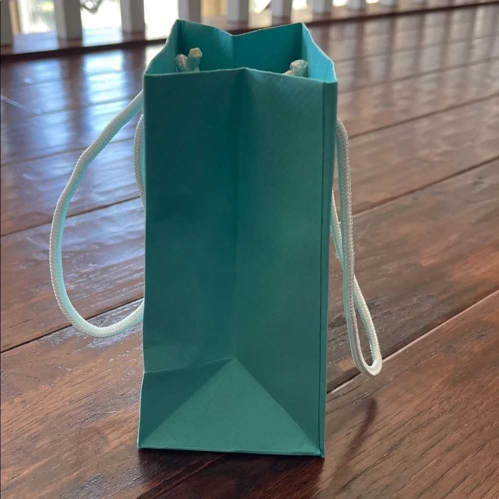 Tiffany Shopping Bag, Jewelry Bag, Blue Box & Envelope - NWT - Picture 6 of 11